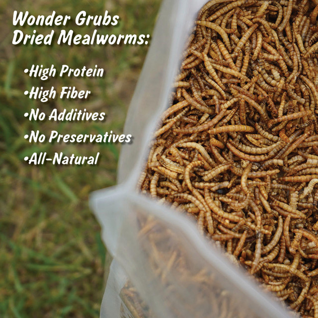 WONDER GRUBS (DRIED MEALWORMS) - 5 LB BAG - Image 3