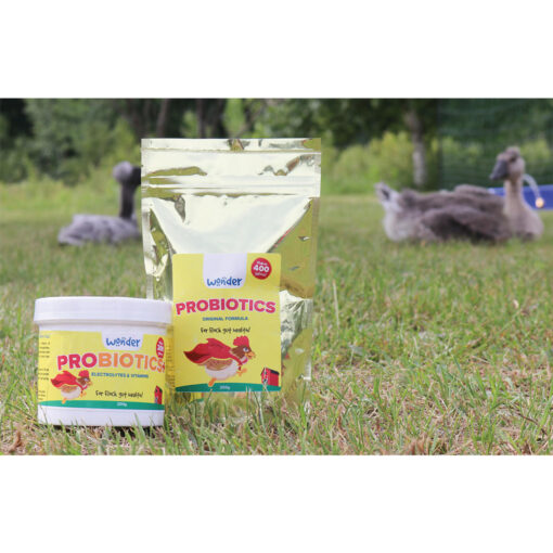 PROBIOTICS+ W/ ELECTROLYTES & VITAMINS - 200 G - Image 3
